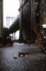 Однажды в Америке (Once Upon a Time in America)