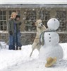 Марли и я (Marley & Me)