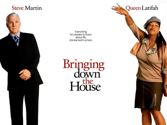 Дом вверх дном (Bringing Down the House)