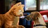Гарфилд (Garfield: The Movie)