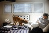 Тернер и Хуч (Turner & Hooch)