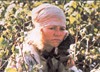 Салли Филд (Sally Field)