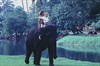 Джордж из джунглей (George of the Jungle), кадр из фильма
