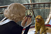 Темные начала: Золотой компас (The Golden Compass)