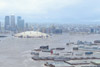 Наводнение (Flood)