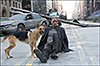 Я — легенда! (I Am Legend)